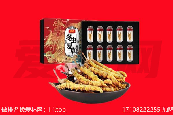 开封市鼓楼回收虫草.jpg